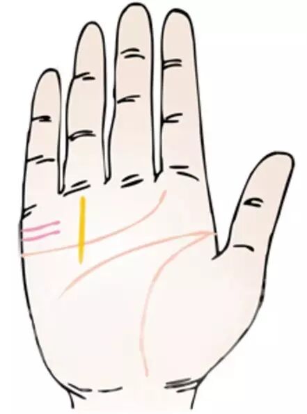 男左女右，教你手相看命，很准！