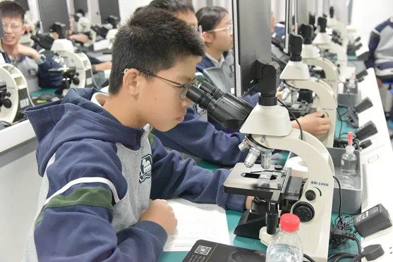 南京一中实验学校分校_南京一中实验学校_南京一中实验