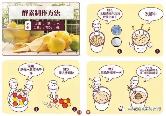 酵妈妈 酵素桶 鲜酿酵素配方 最新最全版本19 酵妈妈鲜酿酵素开启健康生活 微信公众号文章阅读 Wemp