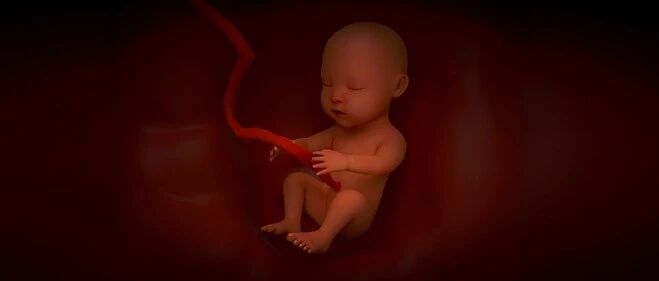 很遗憾!每个妈妈都可能生育唐氏儿，年龄越大风险越高