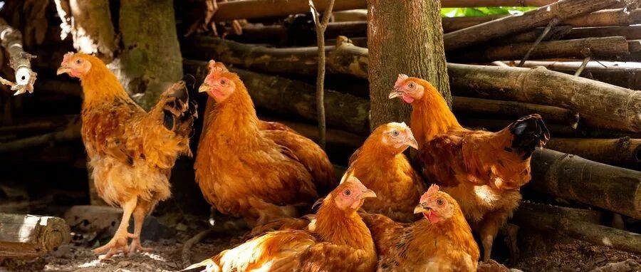 年终奖竟然发了****？？医院发的这些年货真够奇葩的！