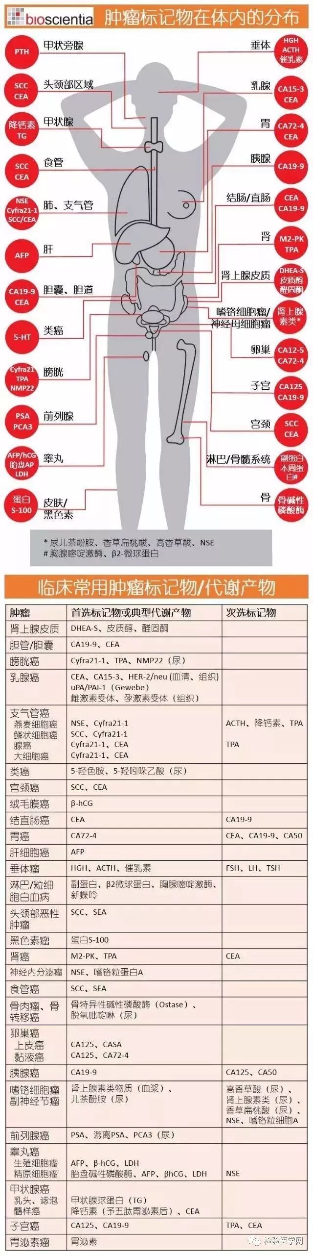 癌胚抗原0.0-10.00是什么意思