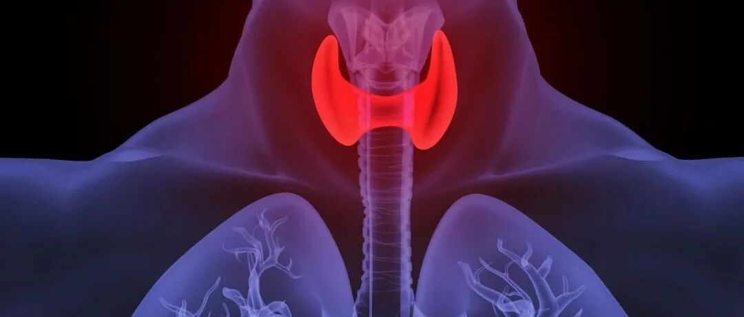 从甲亢到甲减，剧烈变化的甲功指标背后隐藏了怎样的诊断线索...