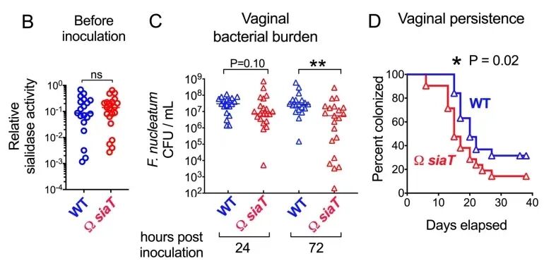 bv唾液酸酶阴性什么意思《PLOS Biology》发文：口腔细菌会引发细菌性阴道病_https://www.jmylbn.com_新闻资讯_第3张