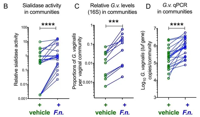bv唾液酸酶阴性什么意思《PLOS Biology》发文：口腔细菌会引发细菌性阴道病_https://www.jmylbn.com_新闻资讯_第5张