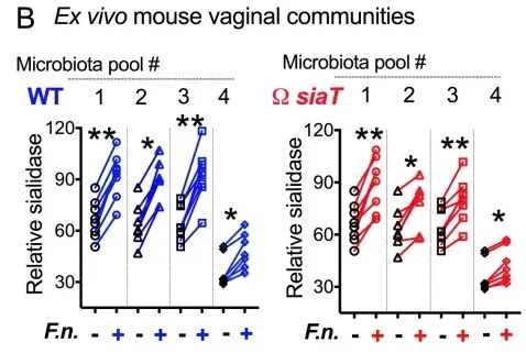 bv唾液酸酶阴性什么意思《PLOS Biology》发文：口腔细菌会引发细菌性阴道病_https://www.jmylbn.com_新闻资讯_第4张