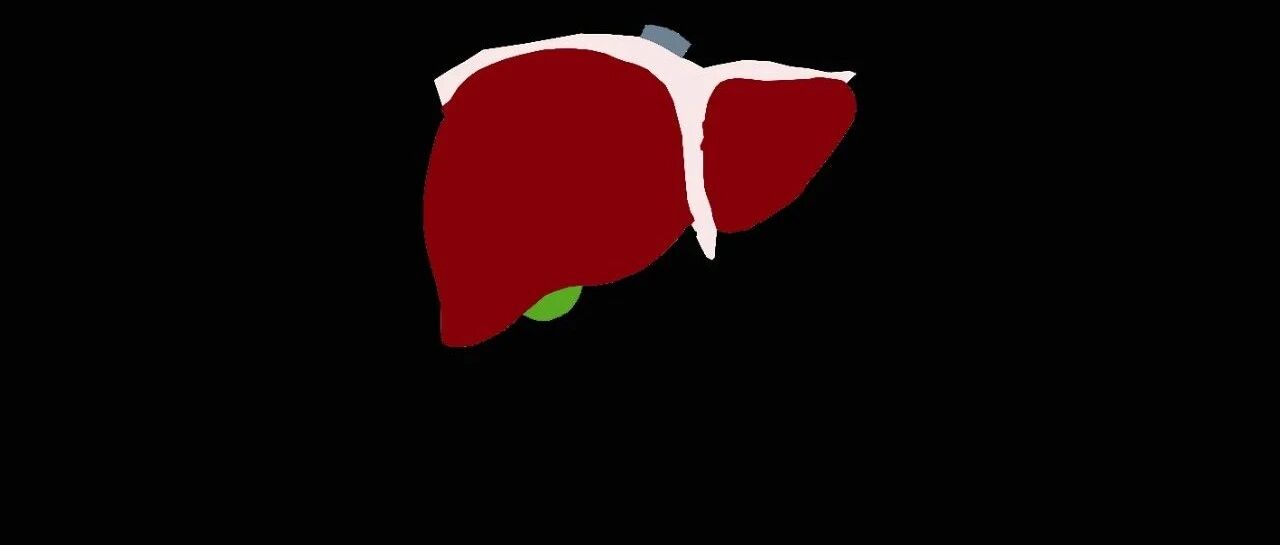 【华西检验案例】HBsAg转阴＝HBV根除？