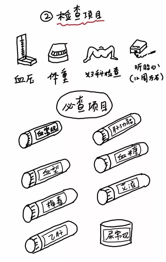 超詳細孕檢流程圖，還不GET起來 親子 第4張