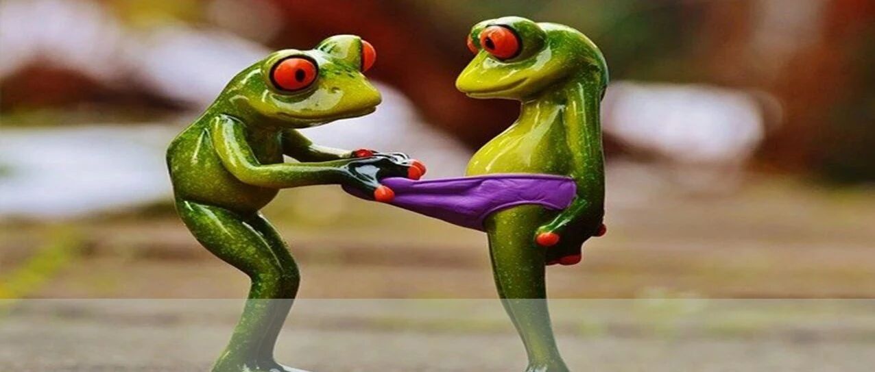 你的内裤也太太太太太脏了吧！