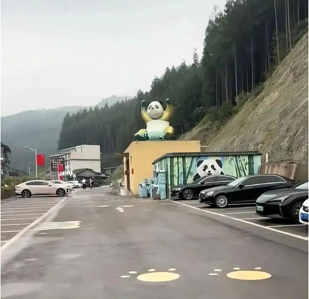 游客称在景区遭遇21474836元停车费,停车不到5小时，游客在四川眉山一景区遭遇超两千万..