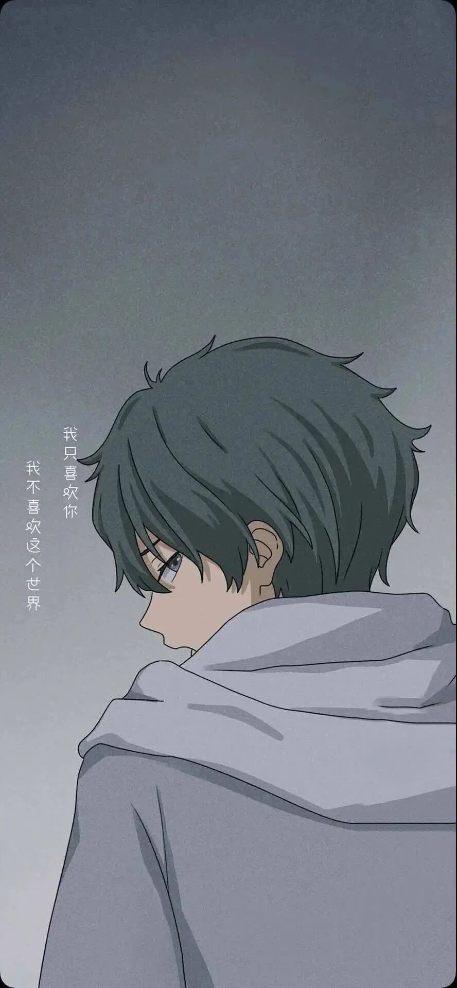 手机壁纸 动漫美女 风景建筑 电脑学习 微信公众号文章阅读 Wemp