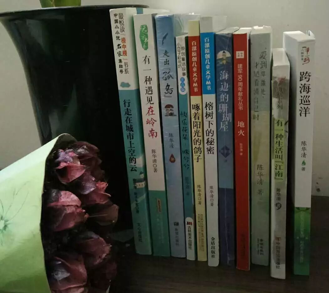 访“双师型”作家陈华清老师