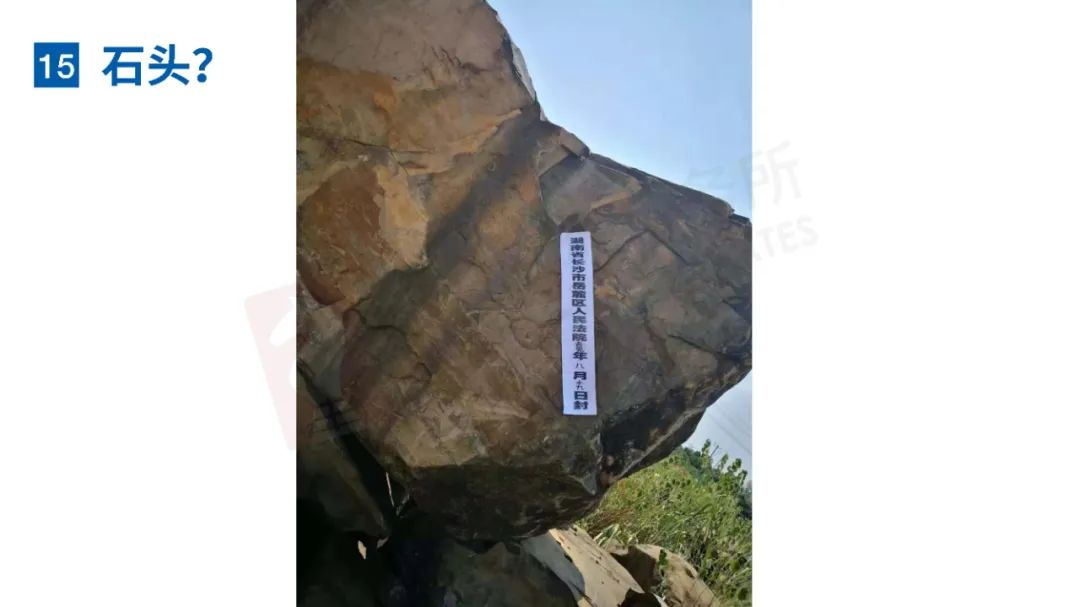 无奇不有！20种特殊融资租赁物一览