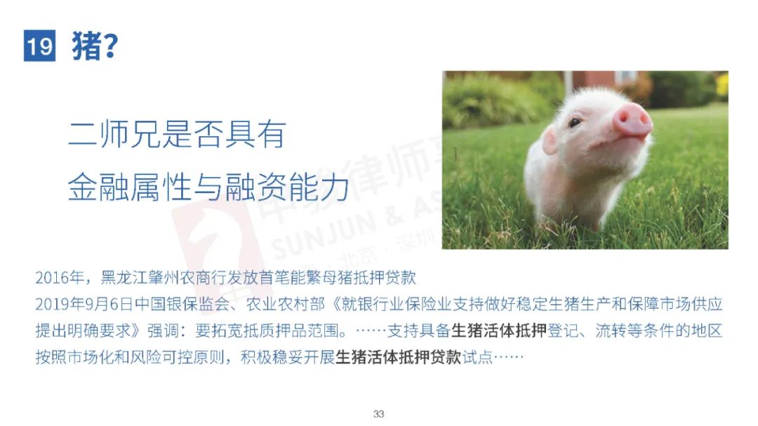 无奇不有！20种特殊融资租赁物一览