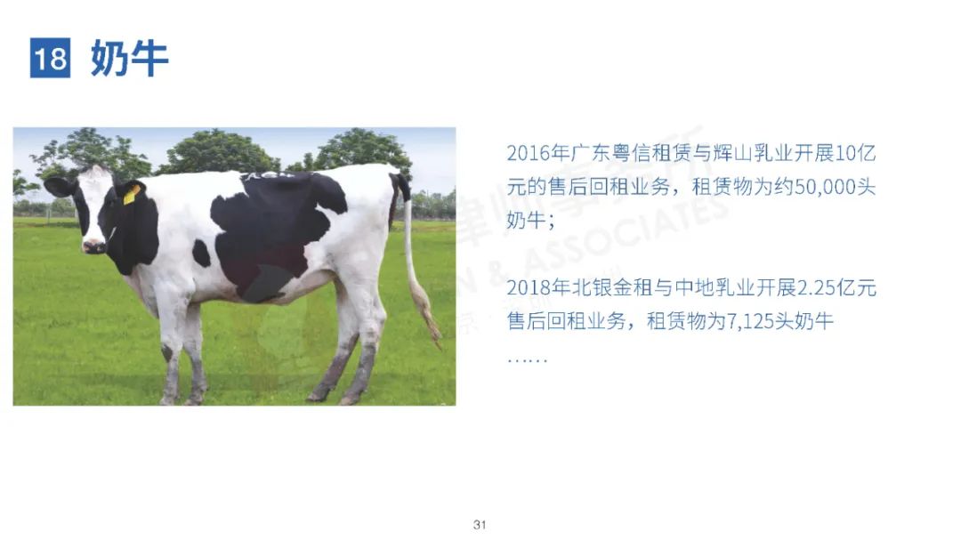 无奇不有！20种特殊融资租赁物一览