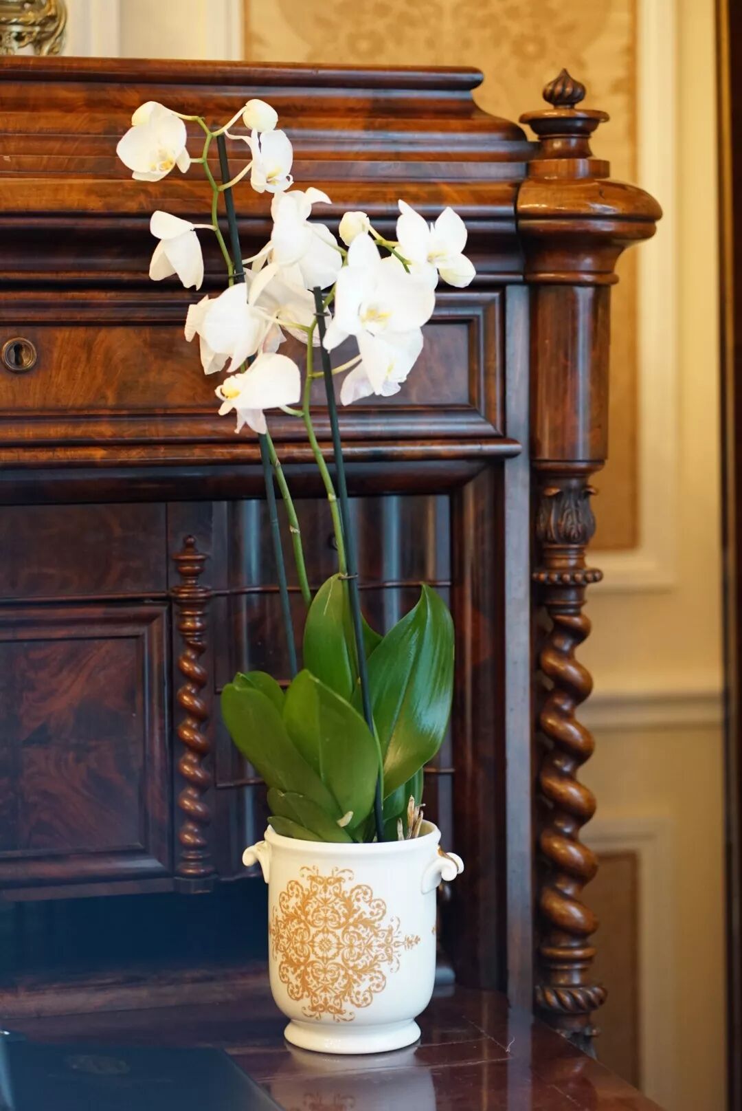 好好搭搭在线_搭搭网社区_搭搭网