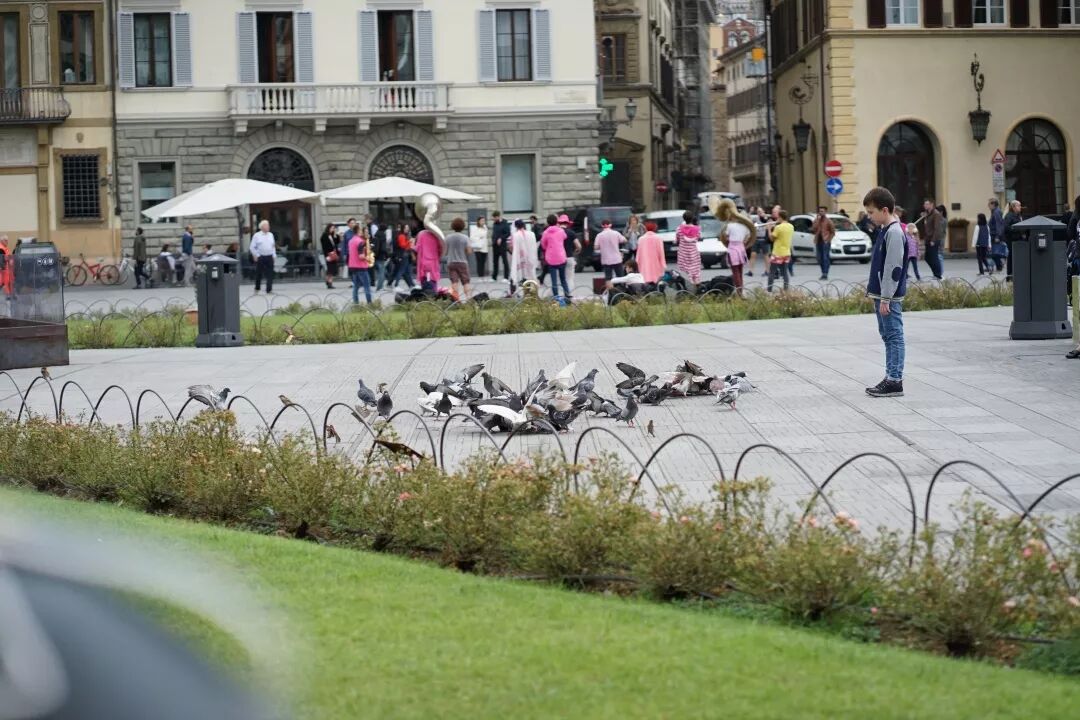 搭搭网_好好搭搭在线_搭搭网社区