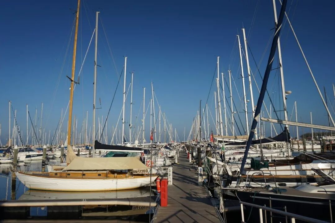 搭搭网_好好搭搭在线_搭搭网社区