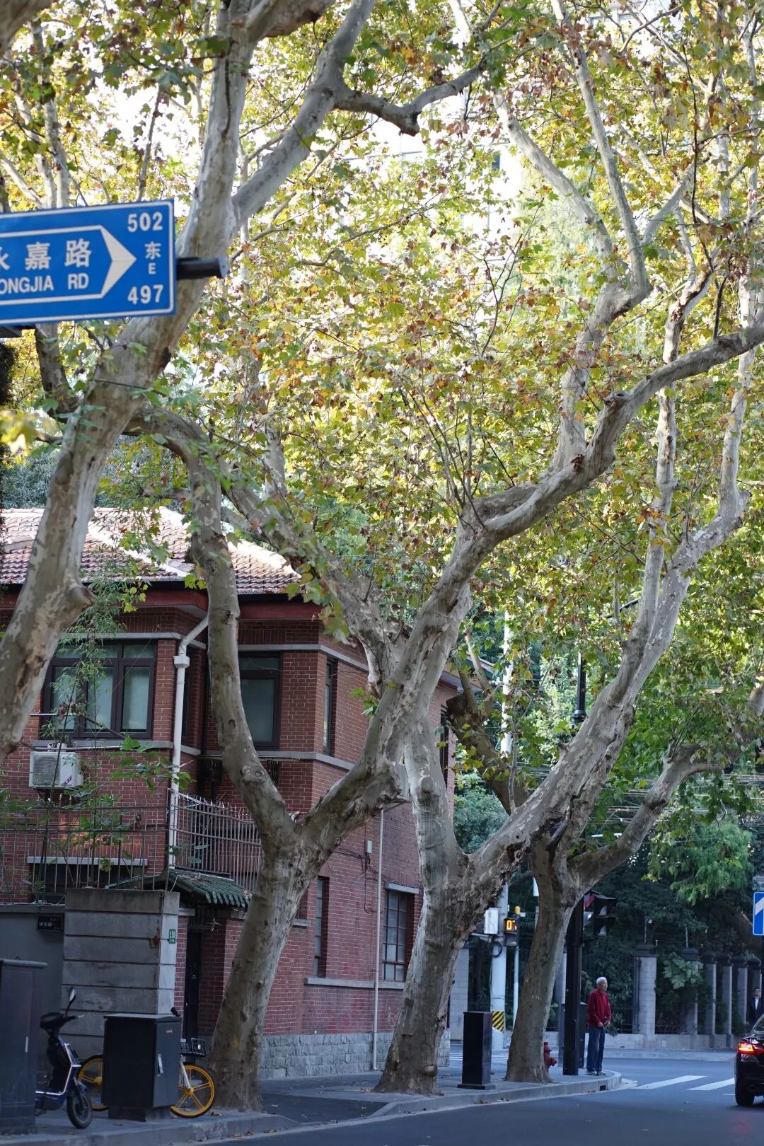 搭搭网社区_好好搭搭在线_搭搭网