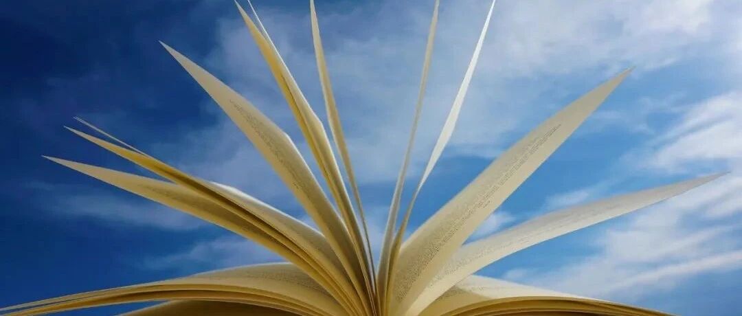 高途、有道 Q4 业绩上演大反转，教育股逆市盈利能否成常事？｜动察