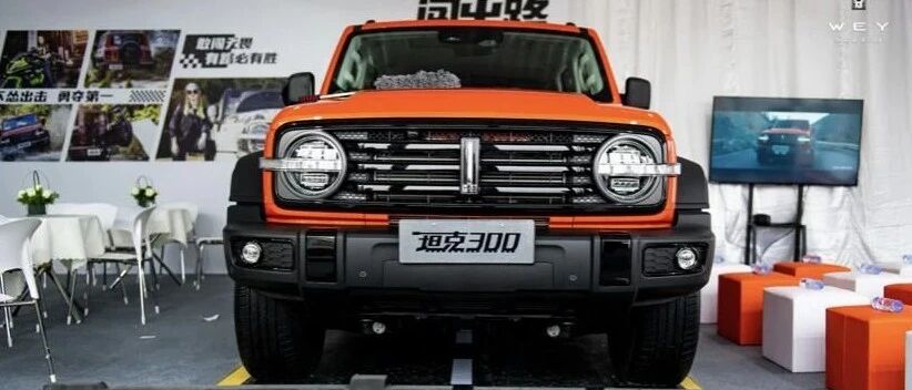 未来可期！实力解锁坦克300时尚越野魅力！