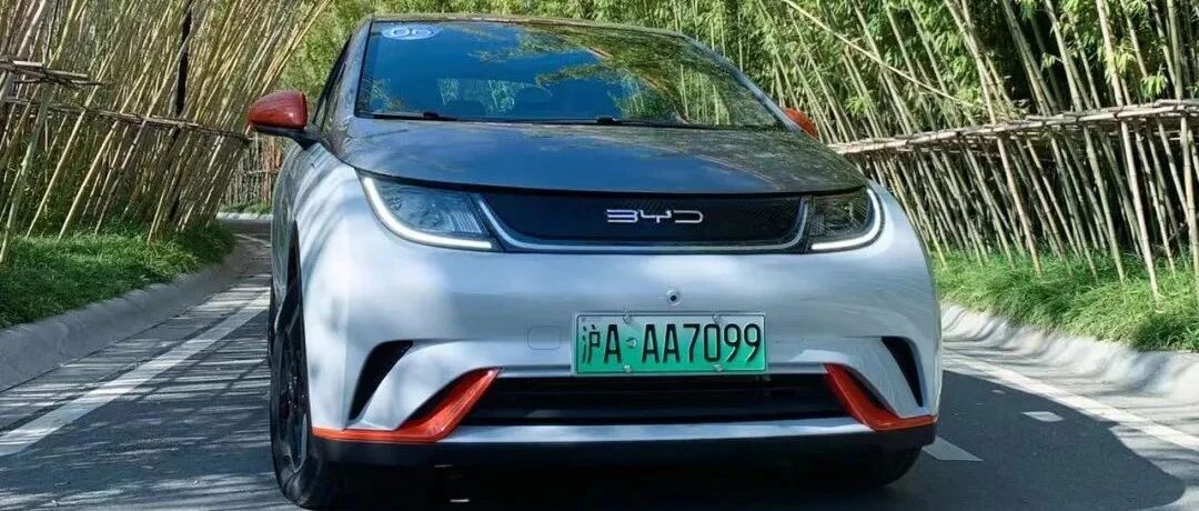 纯电新物种  体验比亚迪海豚