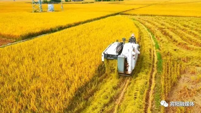 宾阳中医院牙科怎么样宾阳县中医医院免费糖尿病筛查来啦！赶紧约起来~_https://www.jmylbn.com_新闻资讯_第13张