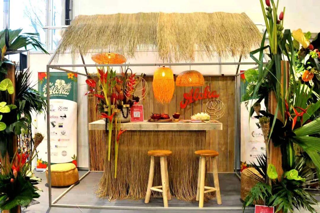 怎么介绍ipm10陈凤翔：10年回眸IPM埃森国际花展有感 ｜ 动态_https://www.jmylbn.com_新闻资讯_第8张