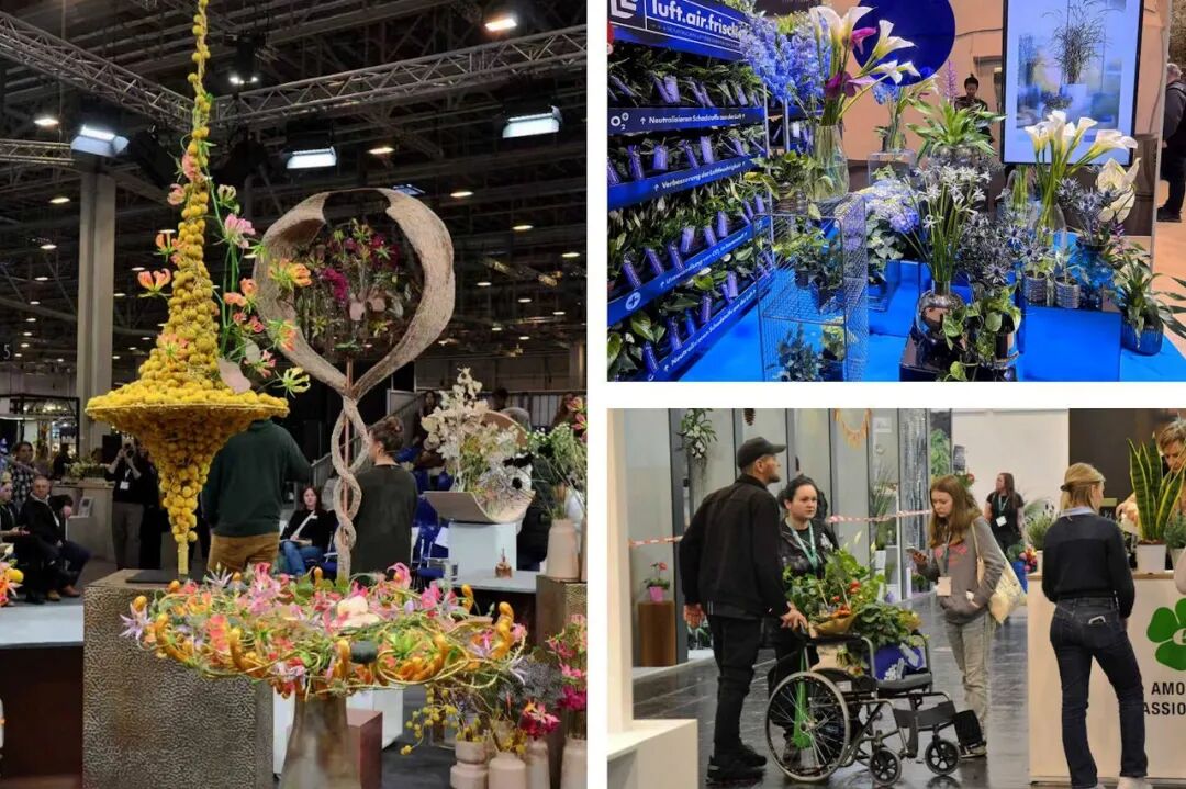 怎么介绍ipm10陈凤翔：10年回眸IPM埃森国际花展有感 ｜ 动态_https://www.jmylbn.com_新闻资讯_第6张