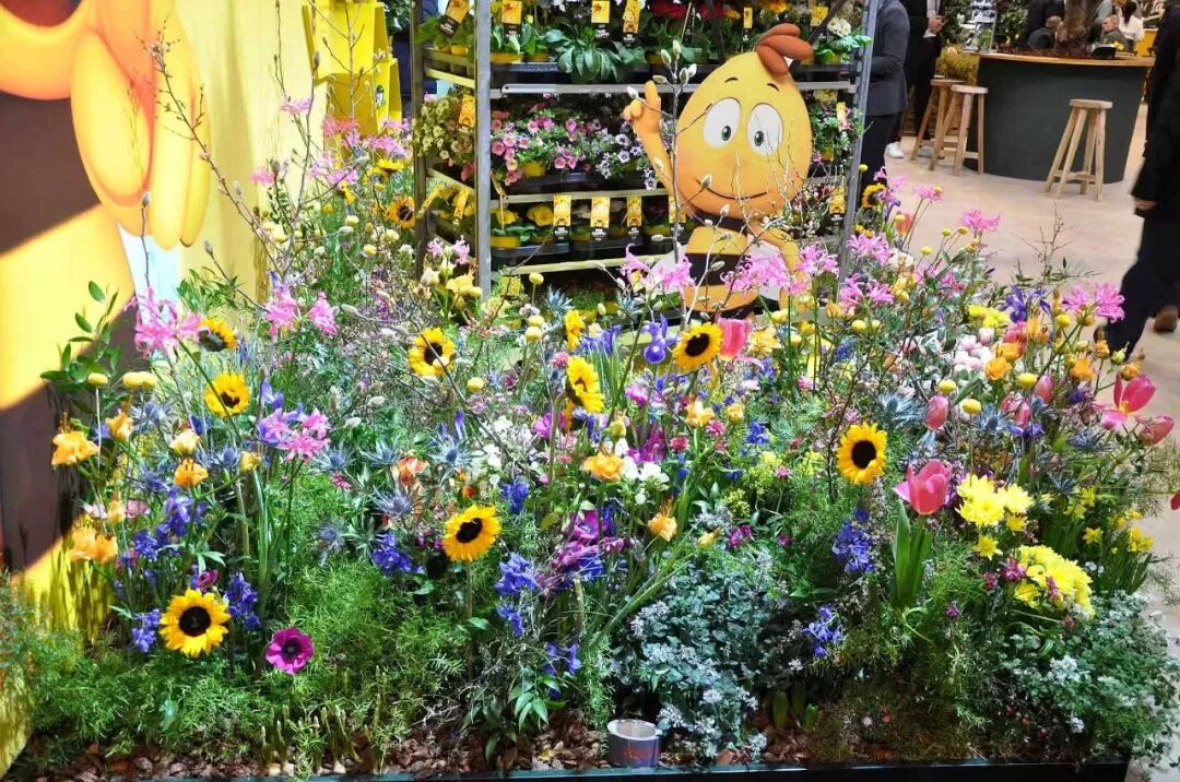 怎么介绍ipm10陈凤翔：10年回眸IPM埃森国际花展有感 ｜ 动态_https://www.jmylbn.com_新闻资讯_第9张