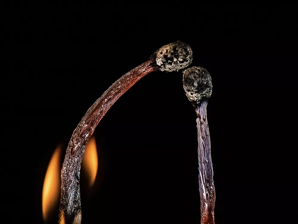 【摄影班 . 招生简章】(图17)