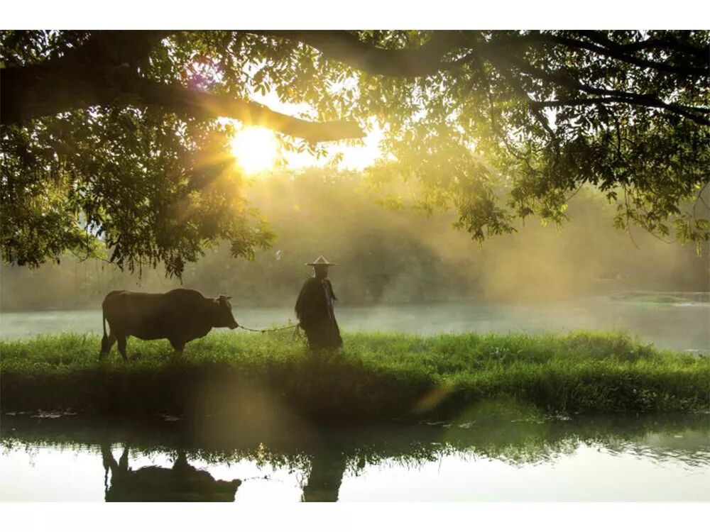 【摄影班 . 招生简章】(图16)