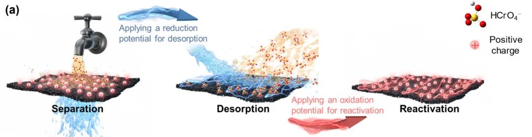 20240524-环境学院兰华春团队在新型电控吸附膜研究方面取得系列进展-刘烈-图1 电控吸附膜对六价铬的快速吸附分离-原位解吸.jpeg