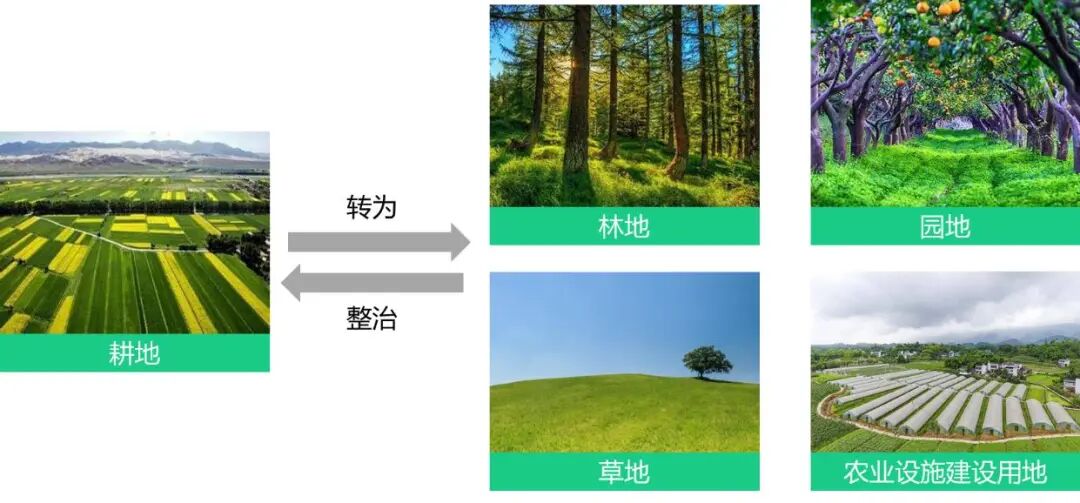 耕地“进出平衡”是怎么回事儿？的图1