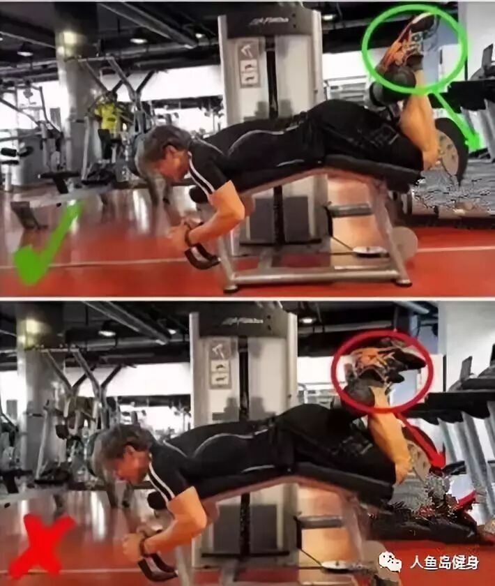 为什么会有单关节器械练腿，离不开单关节孤立刺激动作！_https://www.jmylbn.com_新闻资讯_第5张