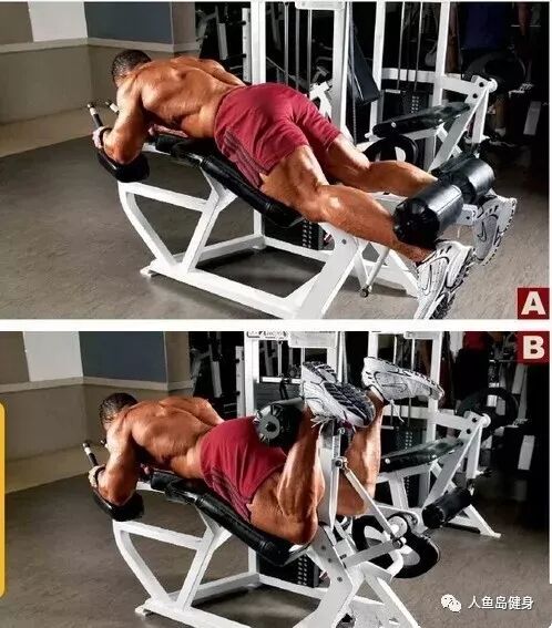 为什么会有单关节器械练腿，离不开单关节孤立刺激动作！_https://www.jmylbn.com_新闻资讯_第3张