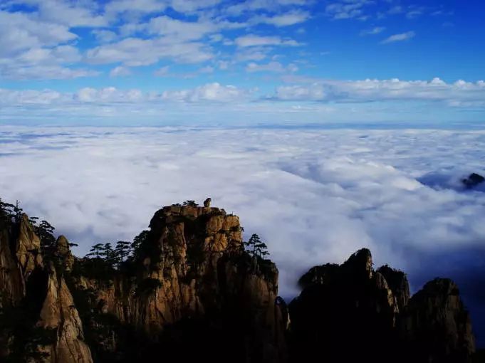 黃山奇石景觀猴子觀海