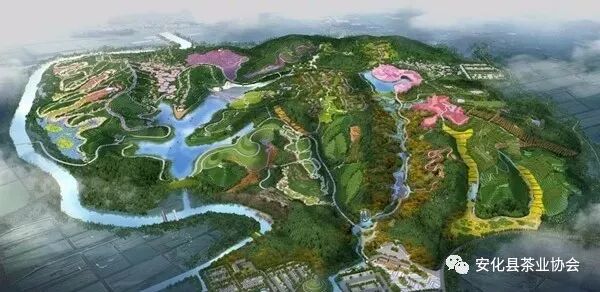 备战黑茶文化节|茶乡花海与你四季有个约