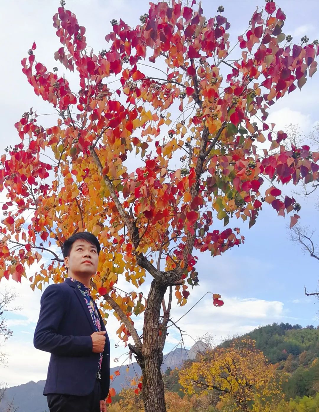 【手機攝影】小狐貍作品專輯：天堂紅葉，秋景槐艷，盡寒霜色流丹！！ 科技 第14張
