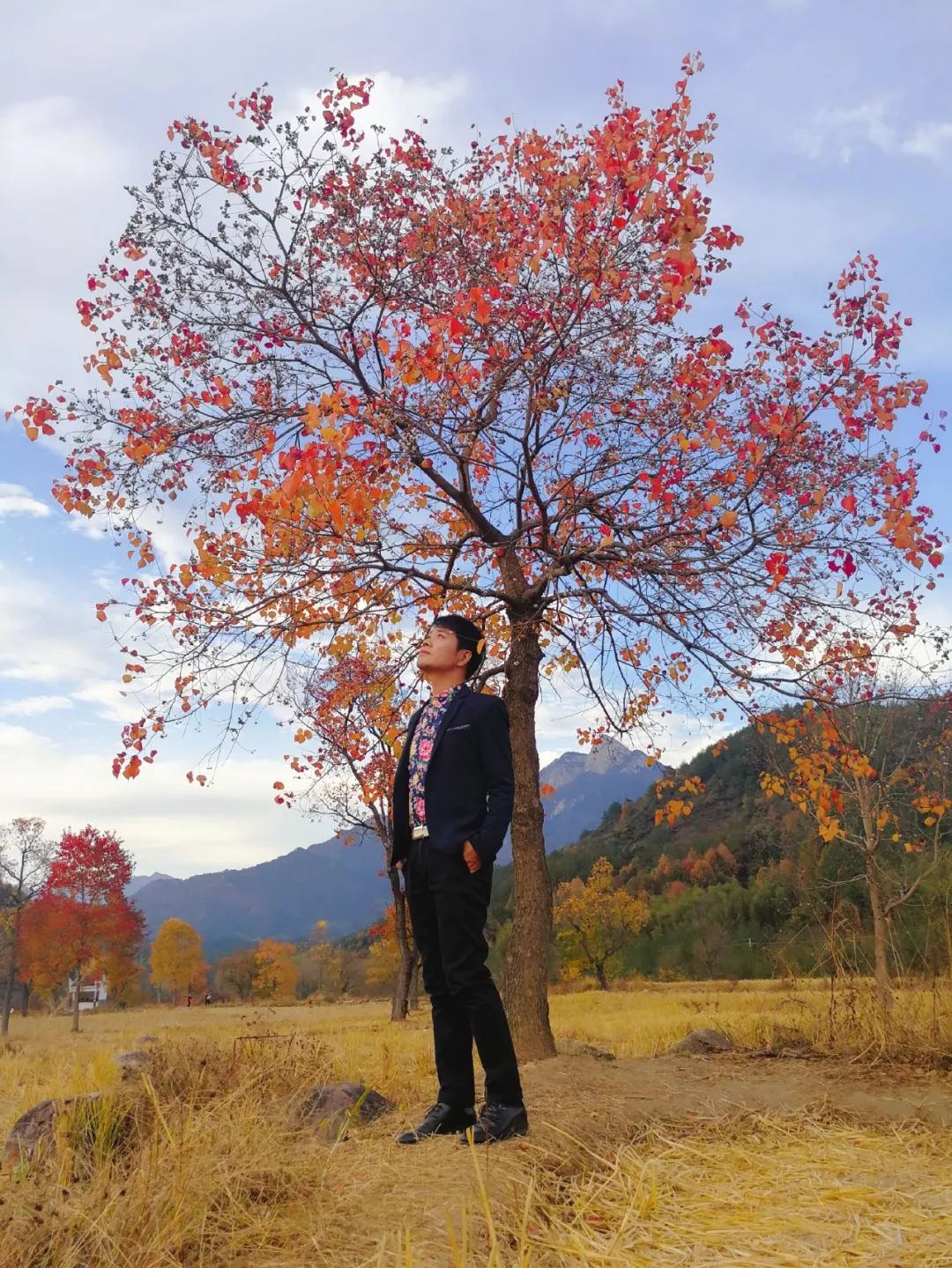 【手機攝影】小狐貍作品專輯：天堂紅葉，秋景槐艷，盡寒霜色流丹！！ 科技 第5張