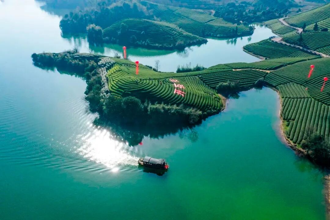 中国名茶地图浙江名茶盘点