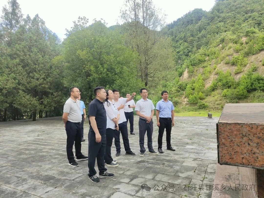 乡党委副书记,提名乡长宋勇,乡党委委员