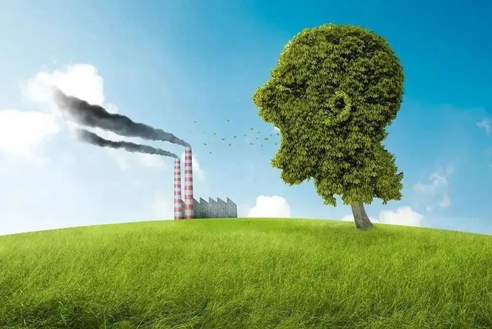 浅谈为什么住木屋