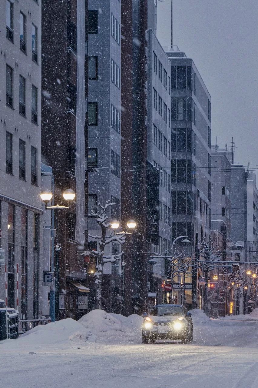 北海道的雪 满足了我对冬天的所有幻想 环球旅行微信公众号文章