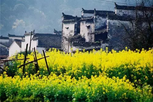 西塞山前白鷺飛什么流水_白鷺飛西塞山前白鷺飛_西塞山前白鷺飛下一句