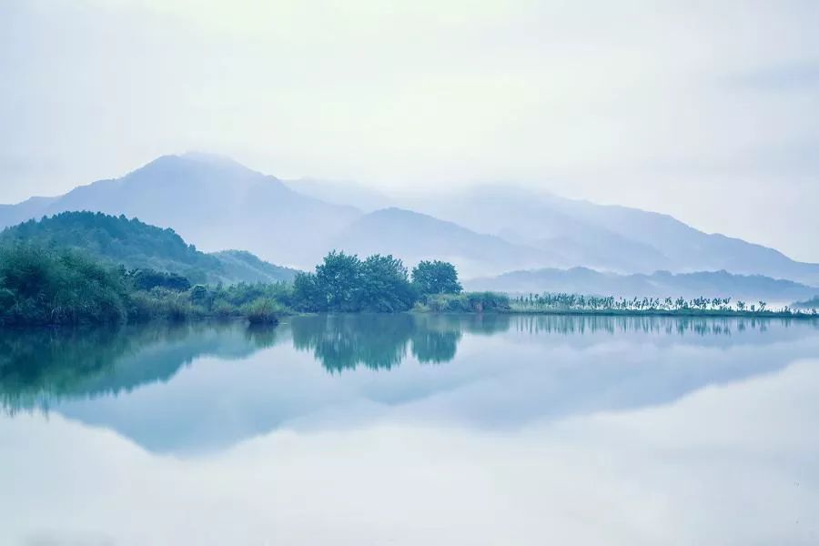 西塞山前白鷺飛什么流水_西塞山前白鷺飛下一句_白鷺飛西塞山前白鷺飛