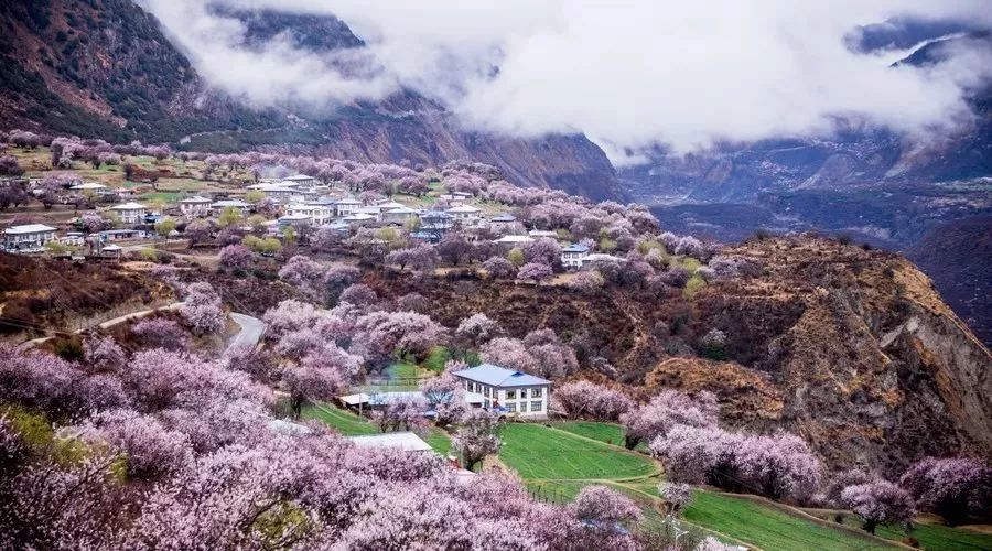 柳州人去這個景點全免費！補貼整整135天，沿途風景美到爆！ 旅行 第37張