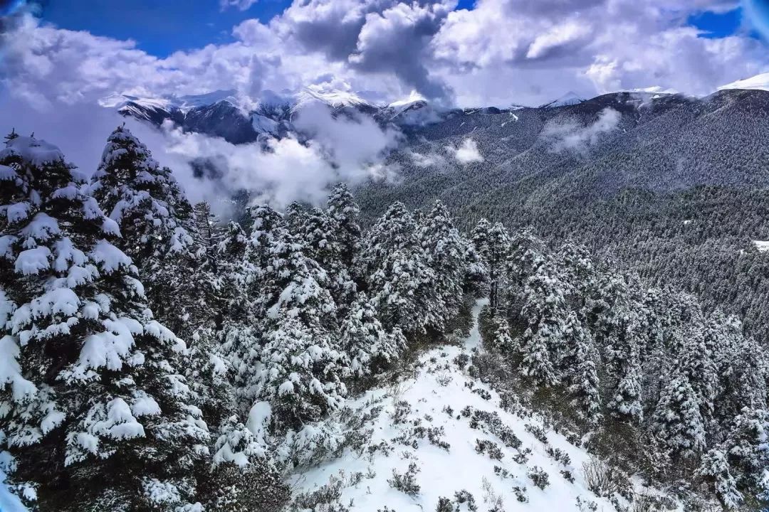 柳州人去這個景點全免費！補貼整整135天，沿途風景美到爆！ 新聞 第31張