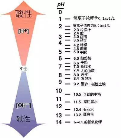 狗尿輪胎？都是哪吒惹的禍！ 寵物 第5張