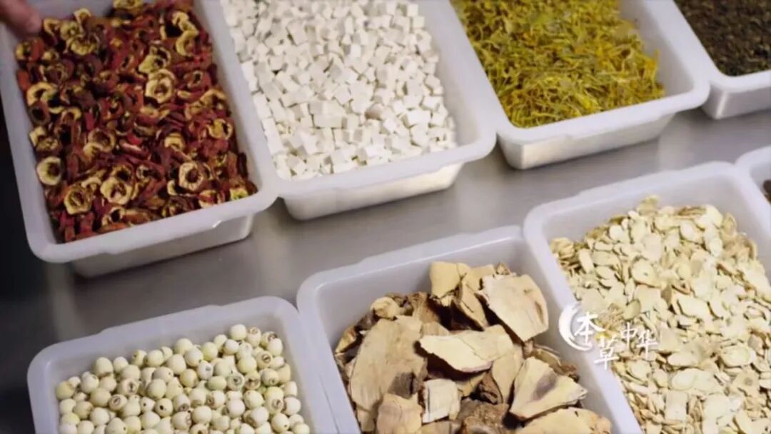 本草银耳--银耳之父52年匠心培育，成就新一代的滋补珍品“圣耳”